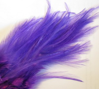 rooster saddle  purple 
